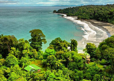 Colombia - Niqui