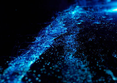 La magia della Bioluminescenza