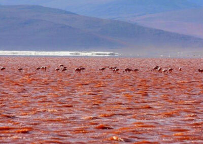Atacama